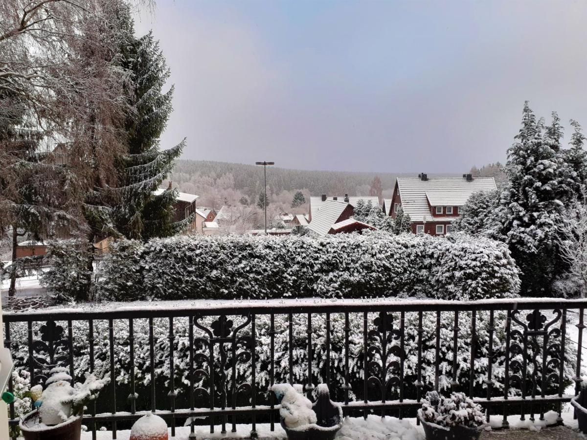 Villa Tannerhof Braunlage Kültér fotó