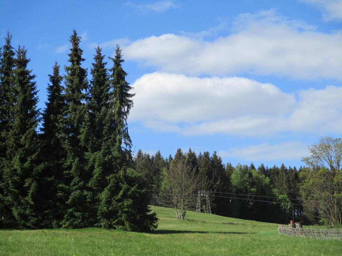 Villa Tannerhof Braunlage Kültér fotó