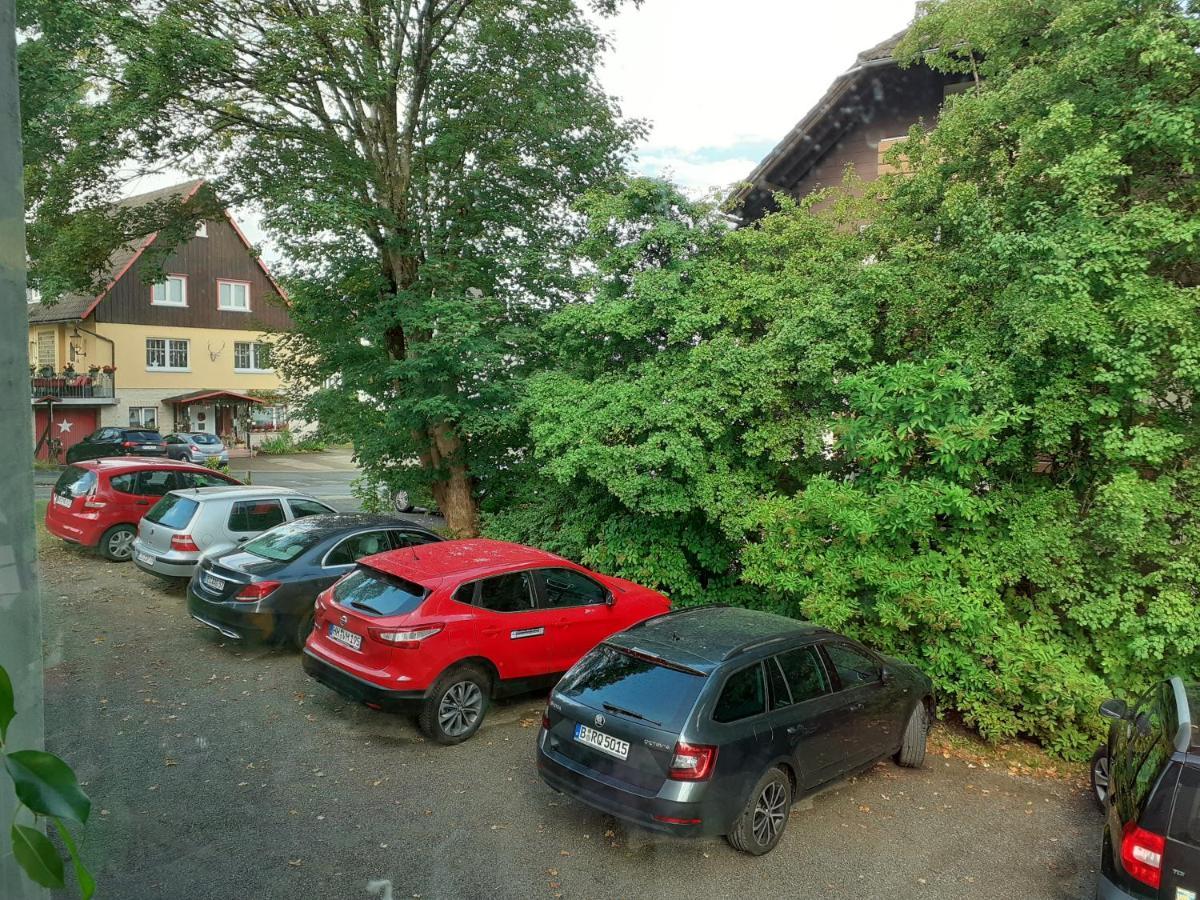 Villa Tannerhof Braunlage Kültér fotó